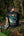 Mountain Life Regular fit black Unisex t-shirt